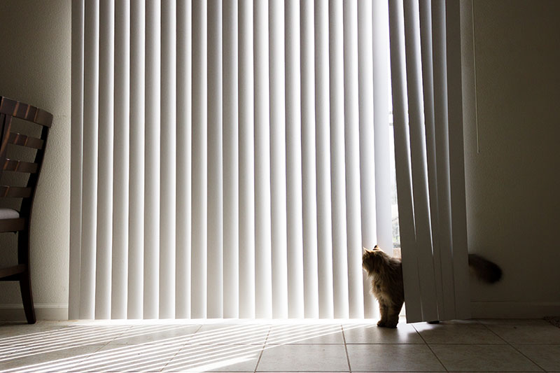 Blind Manufacturer Canada